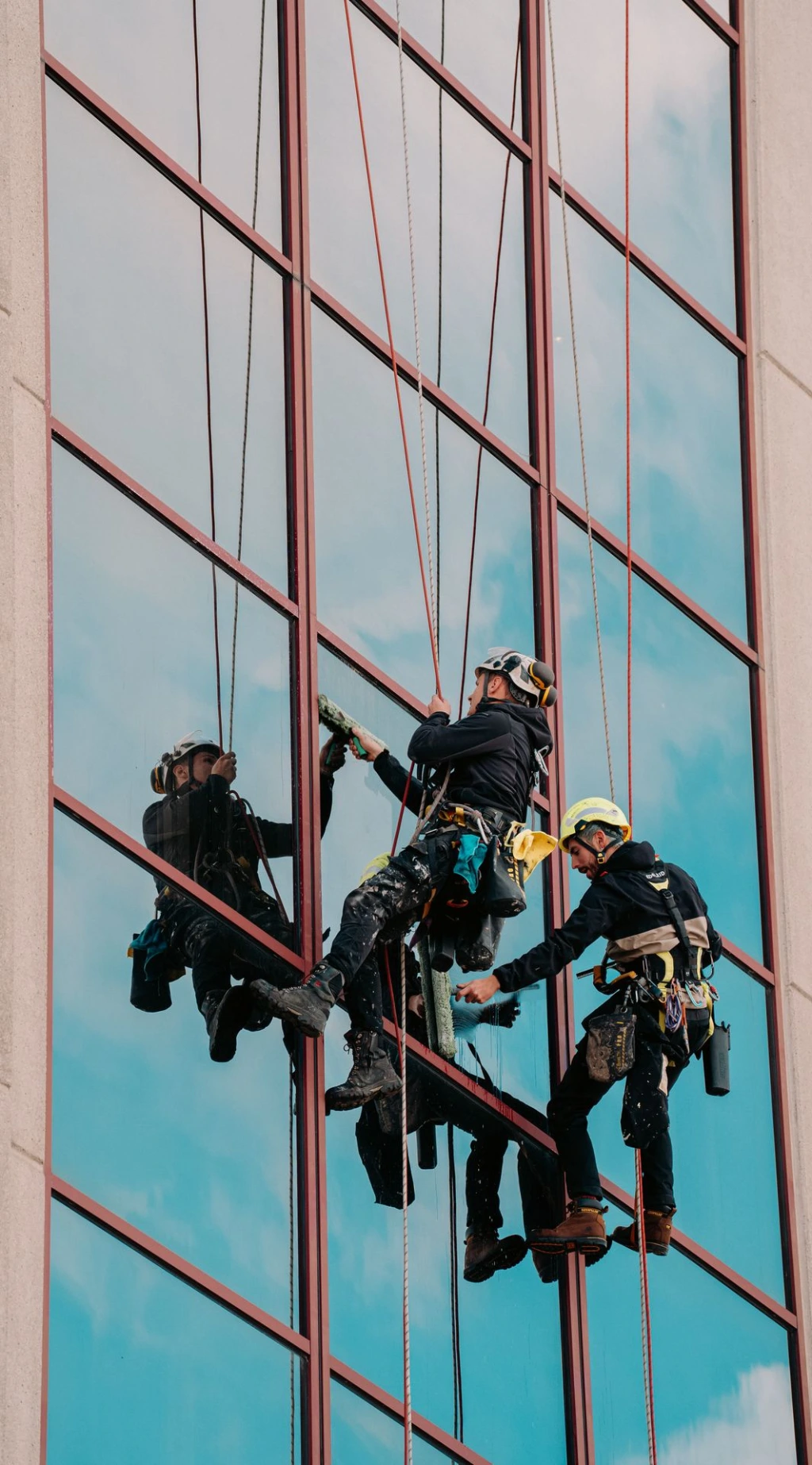 Deux techniciens cordistes équipés de harnais effectuant des travaux de nettoyage de vitres sur la façade vitrée d&#39;un immeuble moderne en hauteur