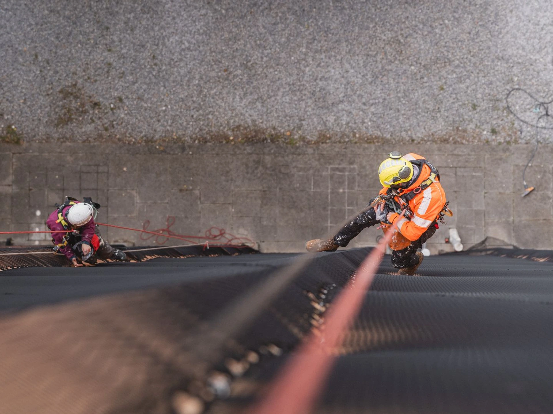 Cordiste réalisant la mise en place de sécurité de l'Institut des Sciences en accès difficile à Etterbeek